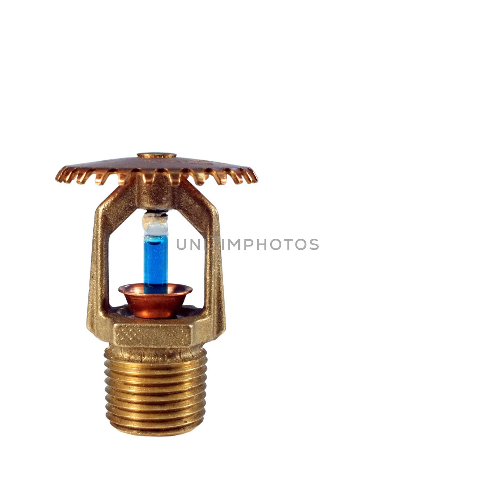 glass filled sprinkler head isolated over white background