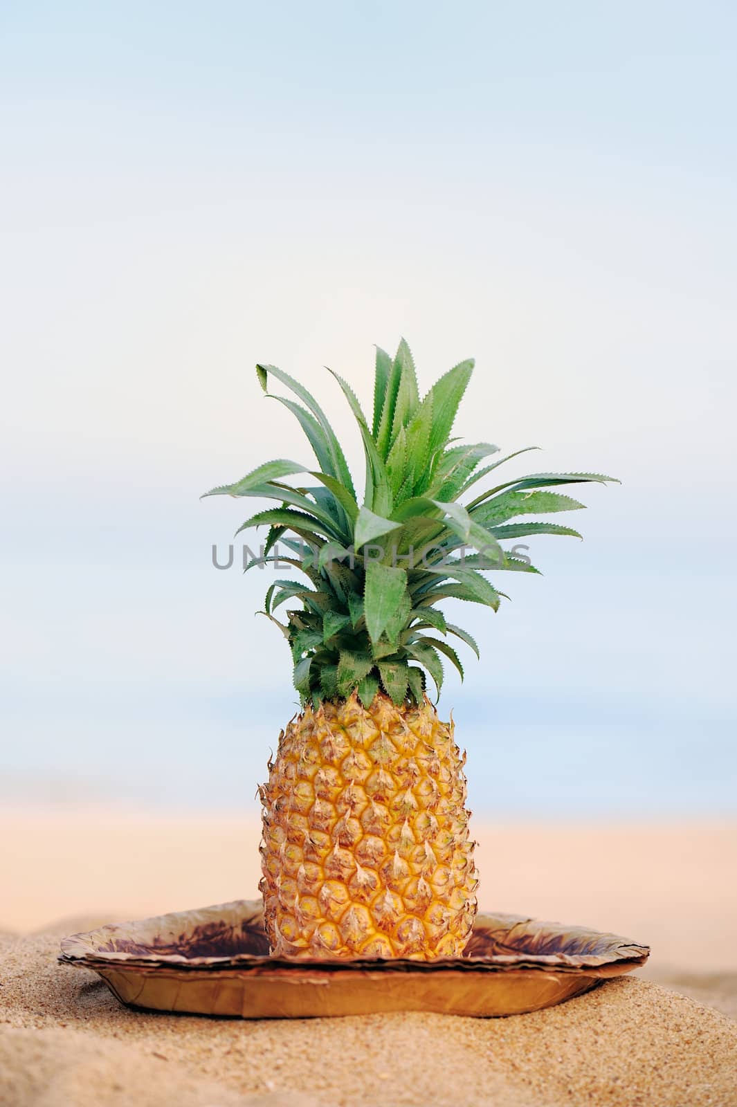 Pineapple on the leaves plate on the sandy shore