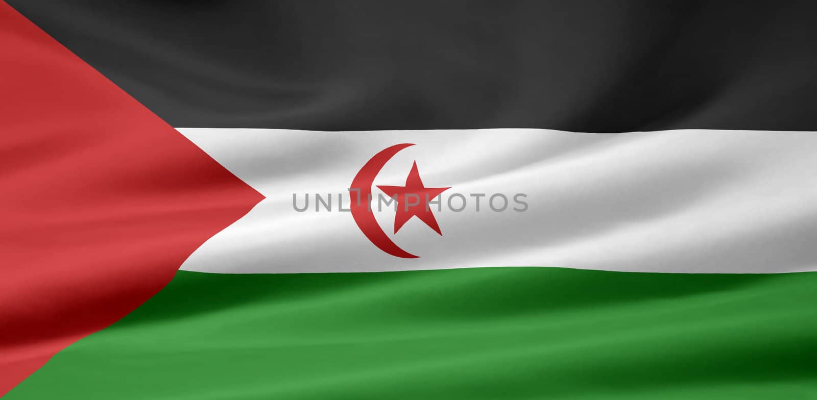 High resolution flag of the  Sahrawi Arab Democratic Republic