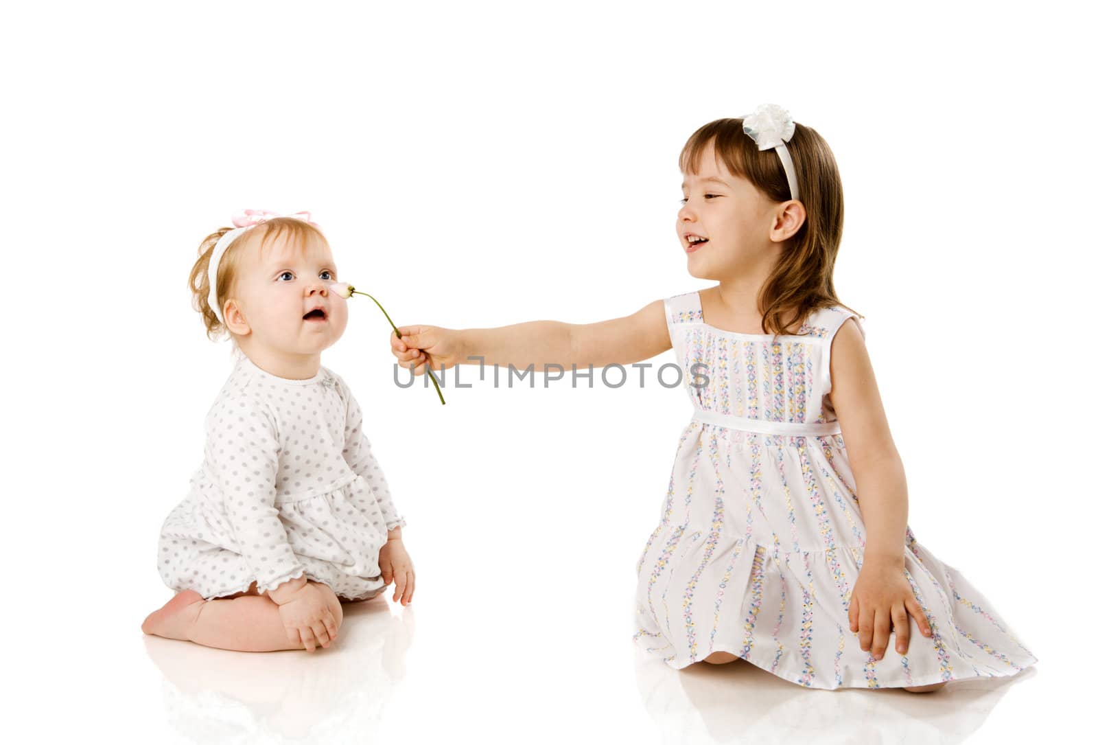 Two little Sisters playing smelling rose isolated on white