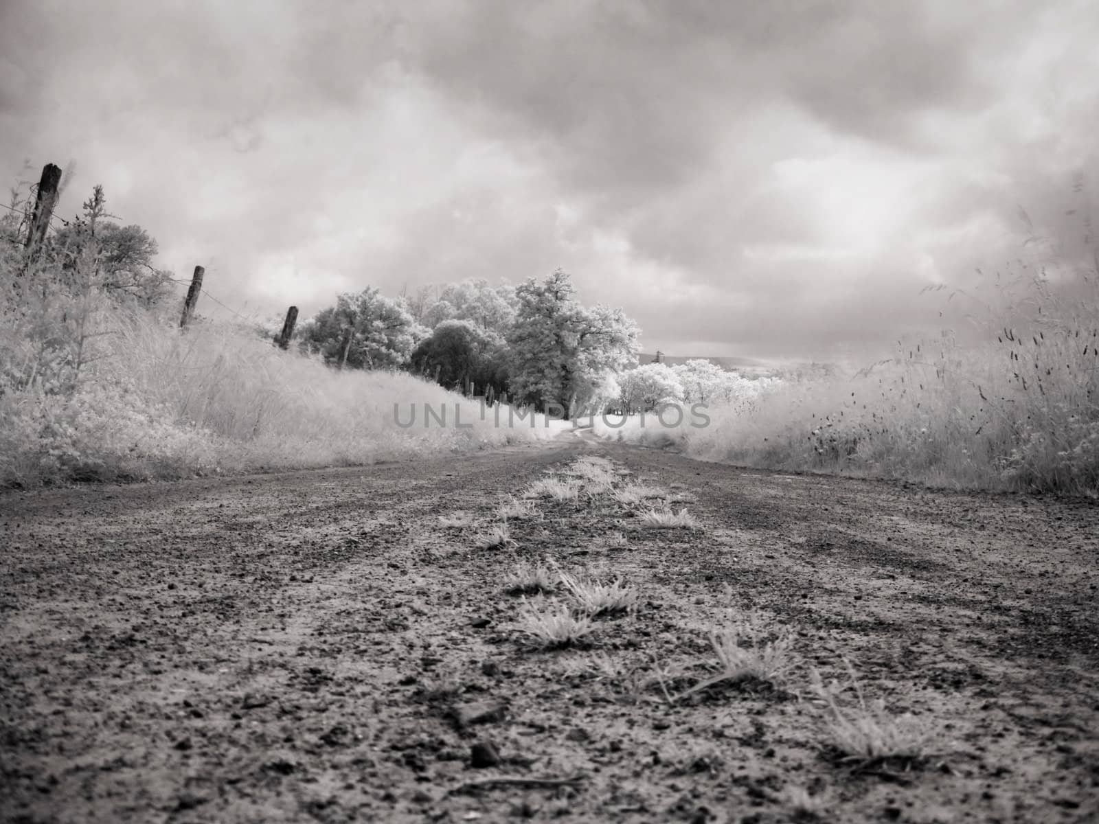 Black and white Infrared picture of a muddy countryside  road