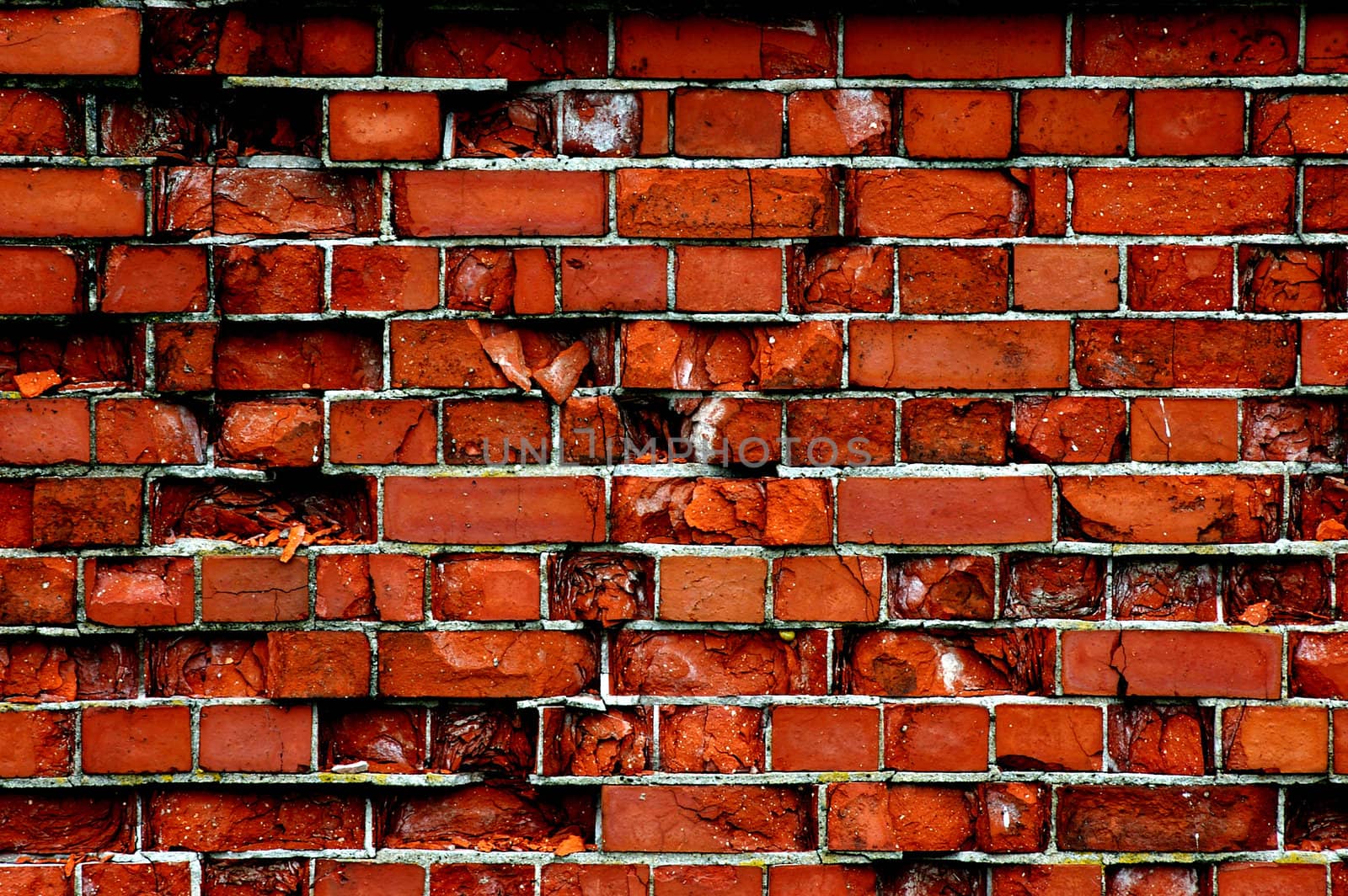 Brick Wall by thomasw