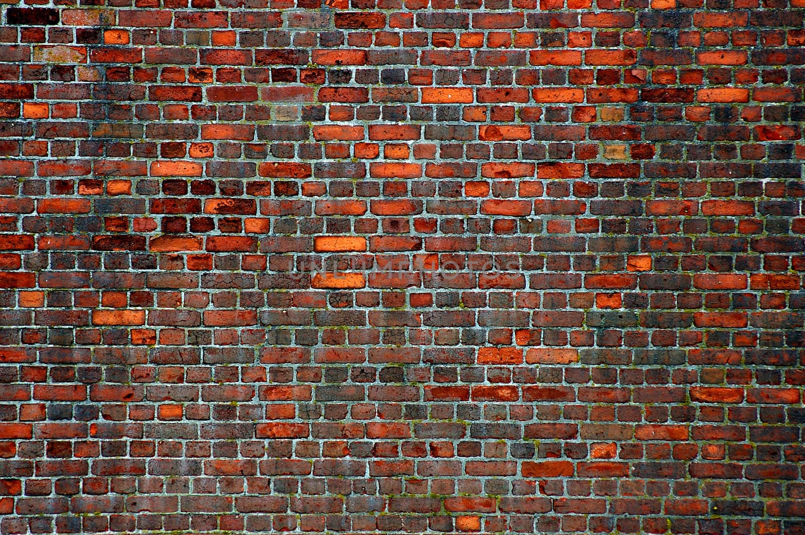 A brick wall background that has been well weathered from many years of neglect.