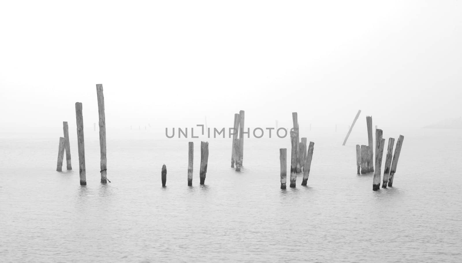 wood in water