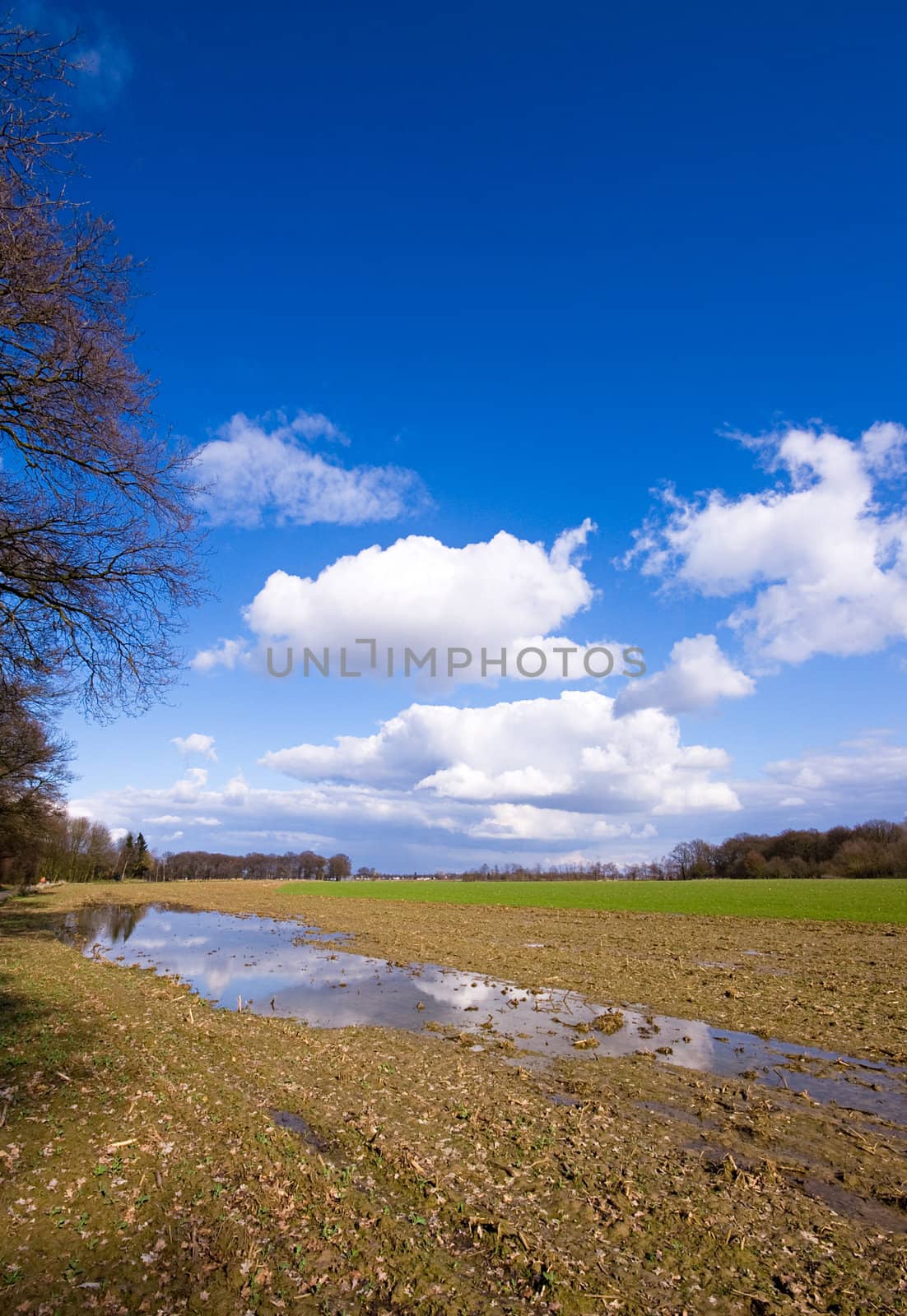 farmland after the rain with puddle and blue sky and some clouds