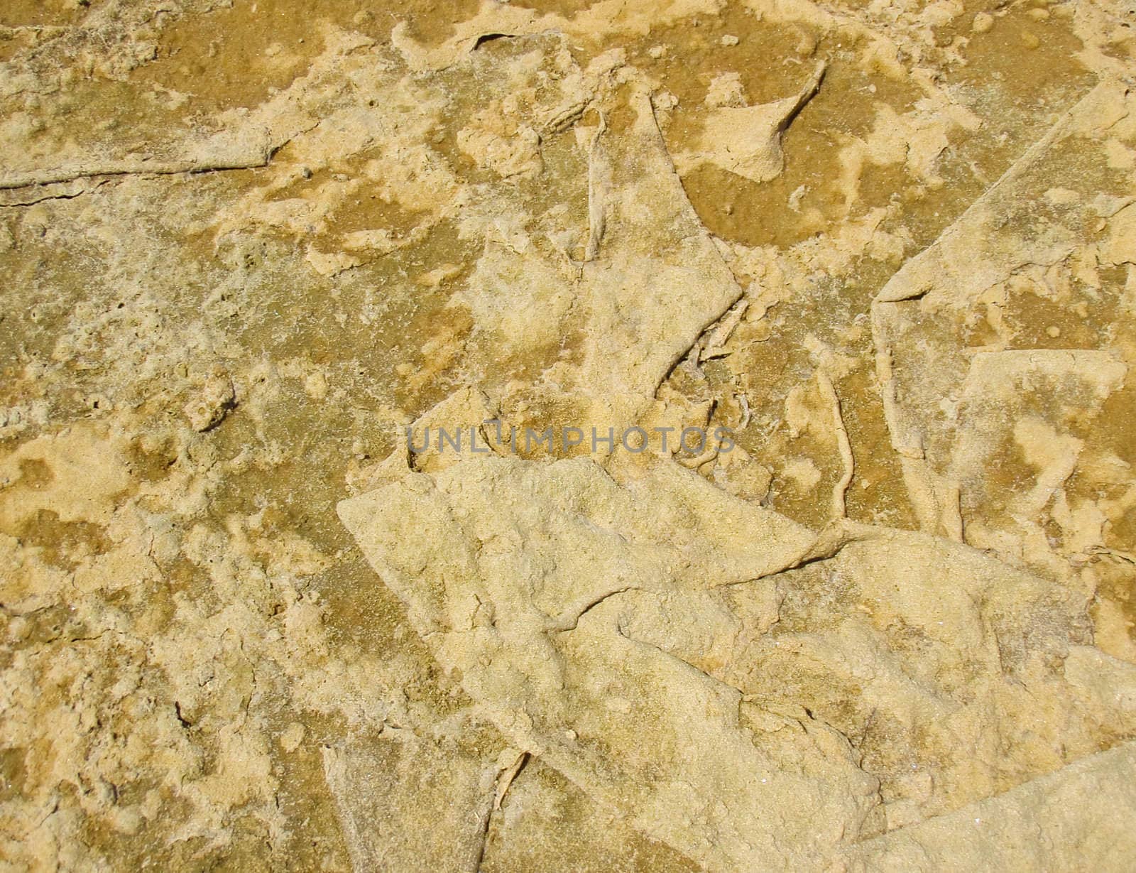 natural background texture of folding dry earth of a salina