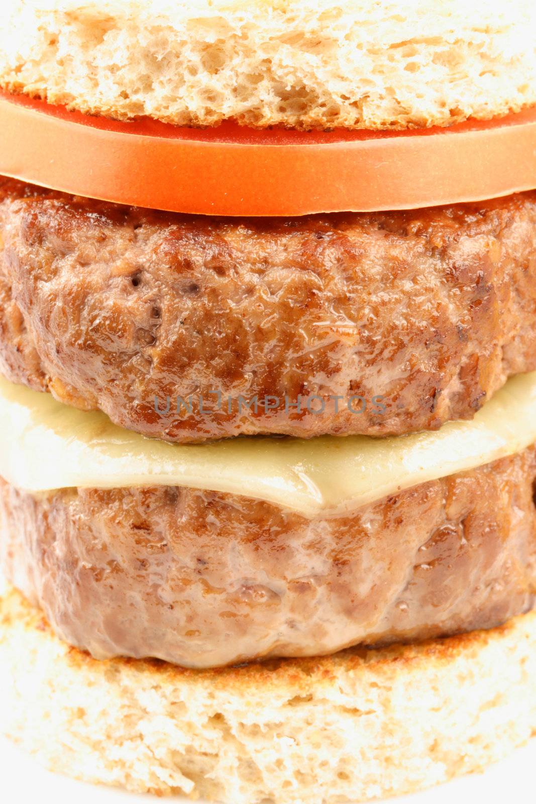gourmet patty melt, Season the ground beef with salt, pepper, and garlic salt according to taste. Make into patties and cook until done, shalow dof