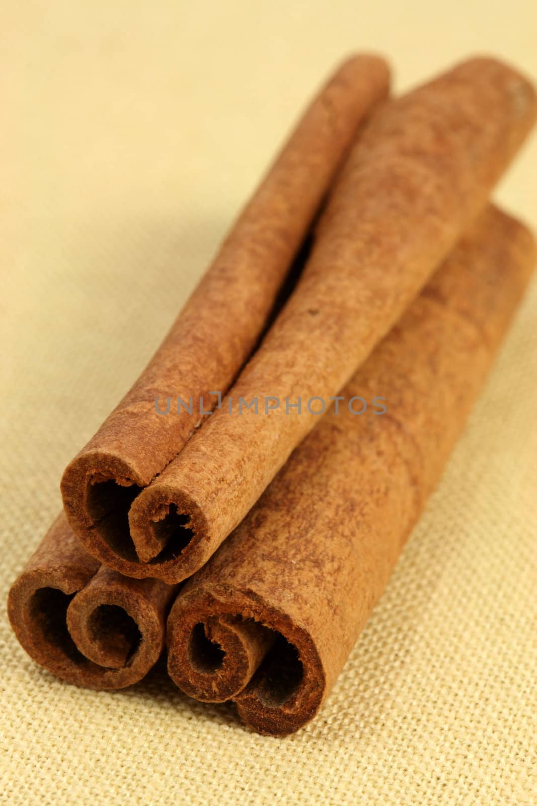 fancy cinnamon sticks delicious baking and cooking ingredient   