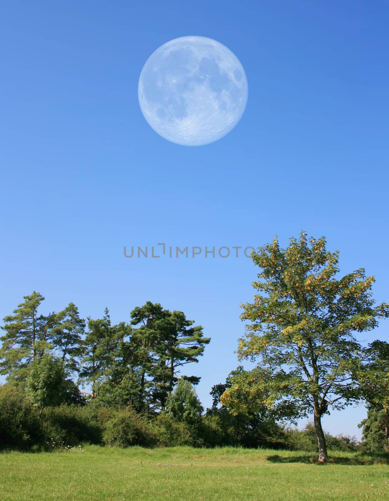 This image shows a scenery with full moon