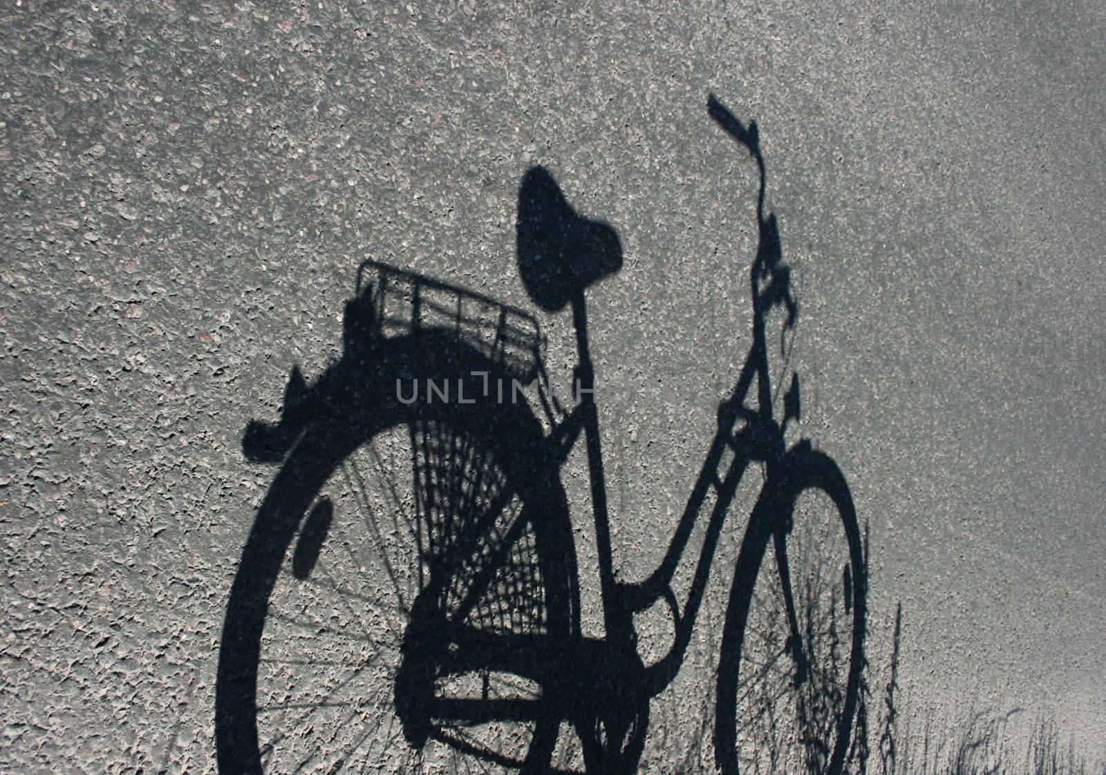 Sustainable thinking. Riding bicycle. by kaija