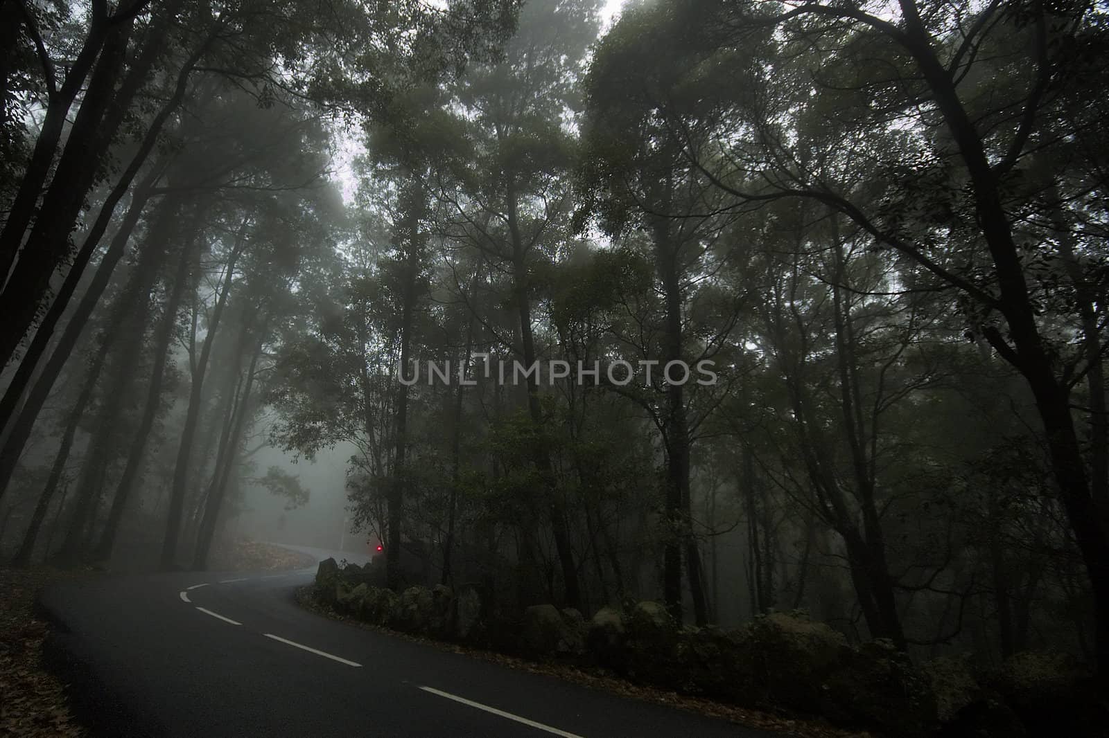 Gloomy road by t3mujin