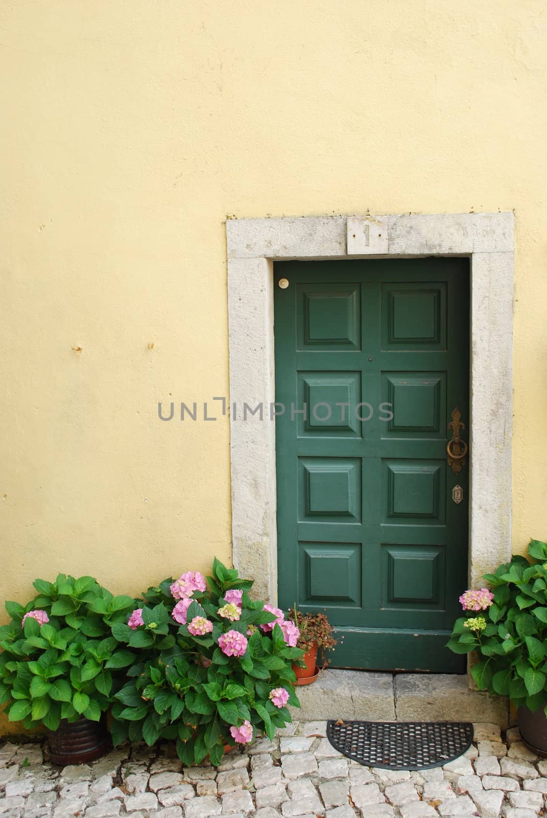 Typical house detail in local village by luissantos84