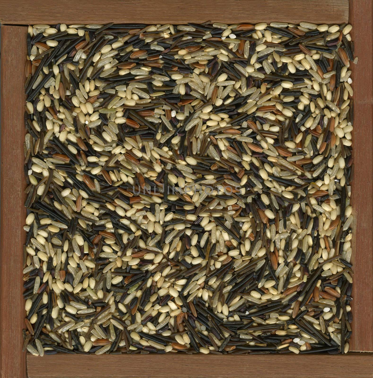 colorful blend of several varieties of whole grain brown and wild rice in a rustic, wooden box