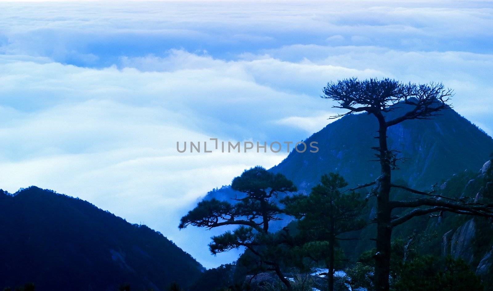 The cloud and mist of Sanqingshan mountain - Filming in Jiangxi, China. by xfdly5