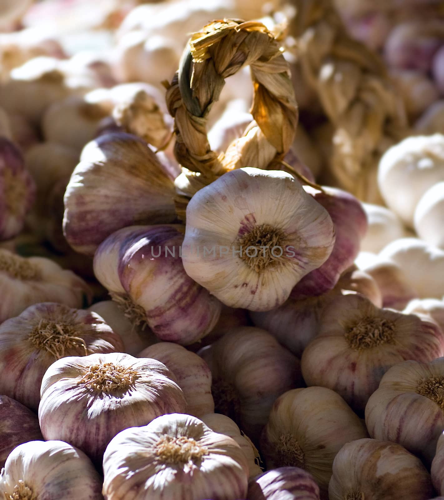 Several Garlic Bulbs on Farmer's Market