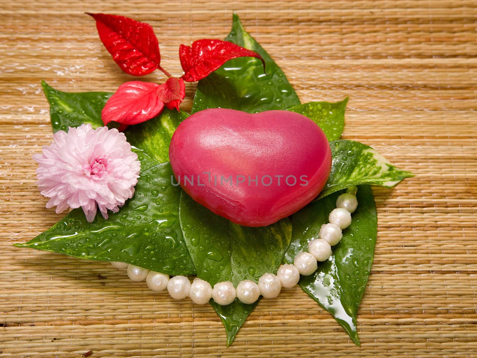 heart with green leaves, pink chrysanthemum and pearl