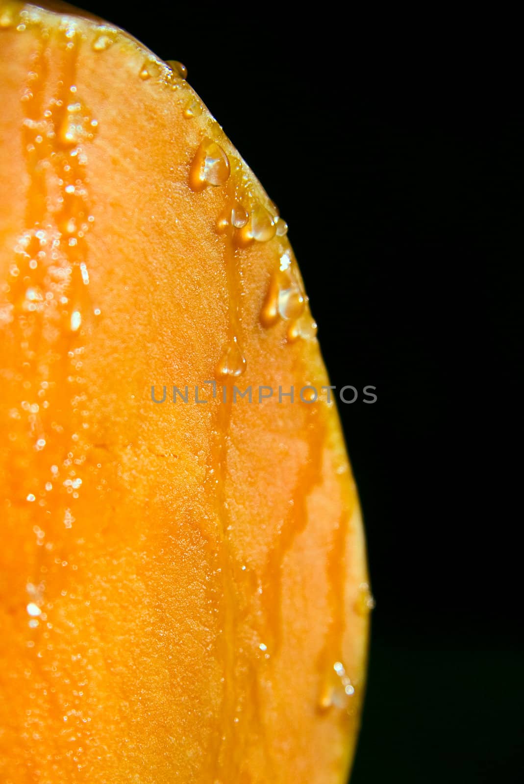 pumpkin on black background. Orange and Freshness