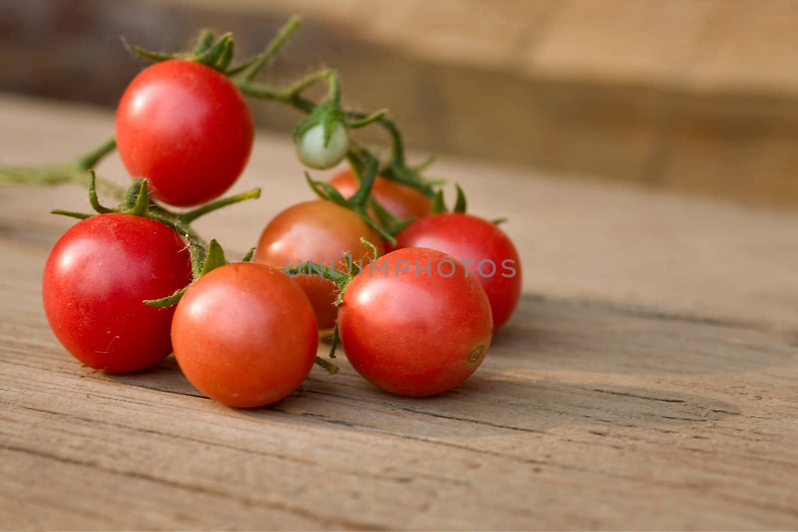 Small red cherry tomatoes in a pile.  Daily light