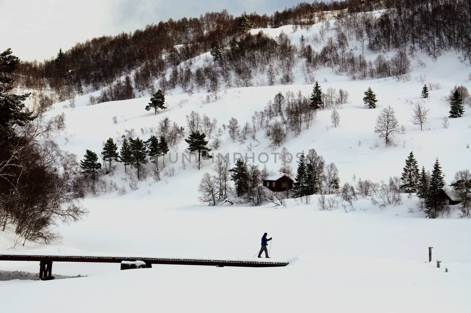 A single skier in a winter landscape