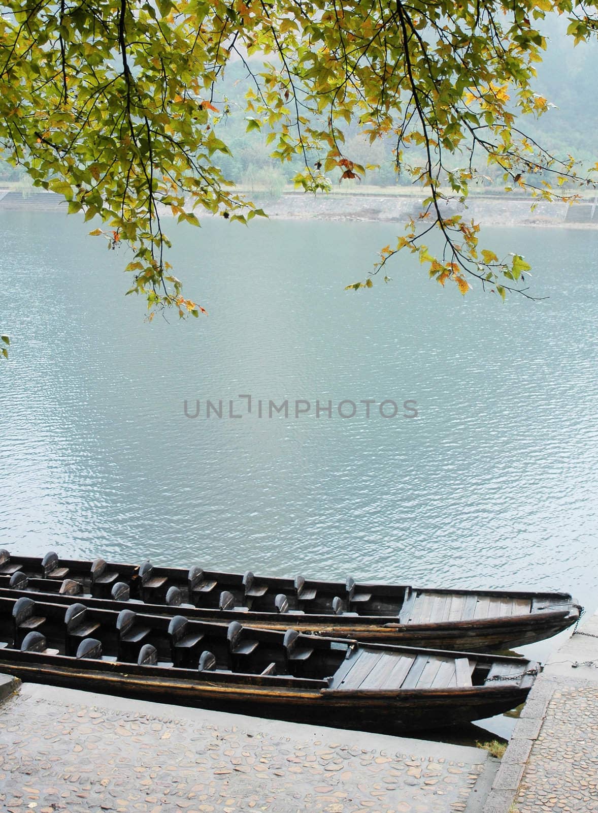 Scenery of boats under the trees at riverside