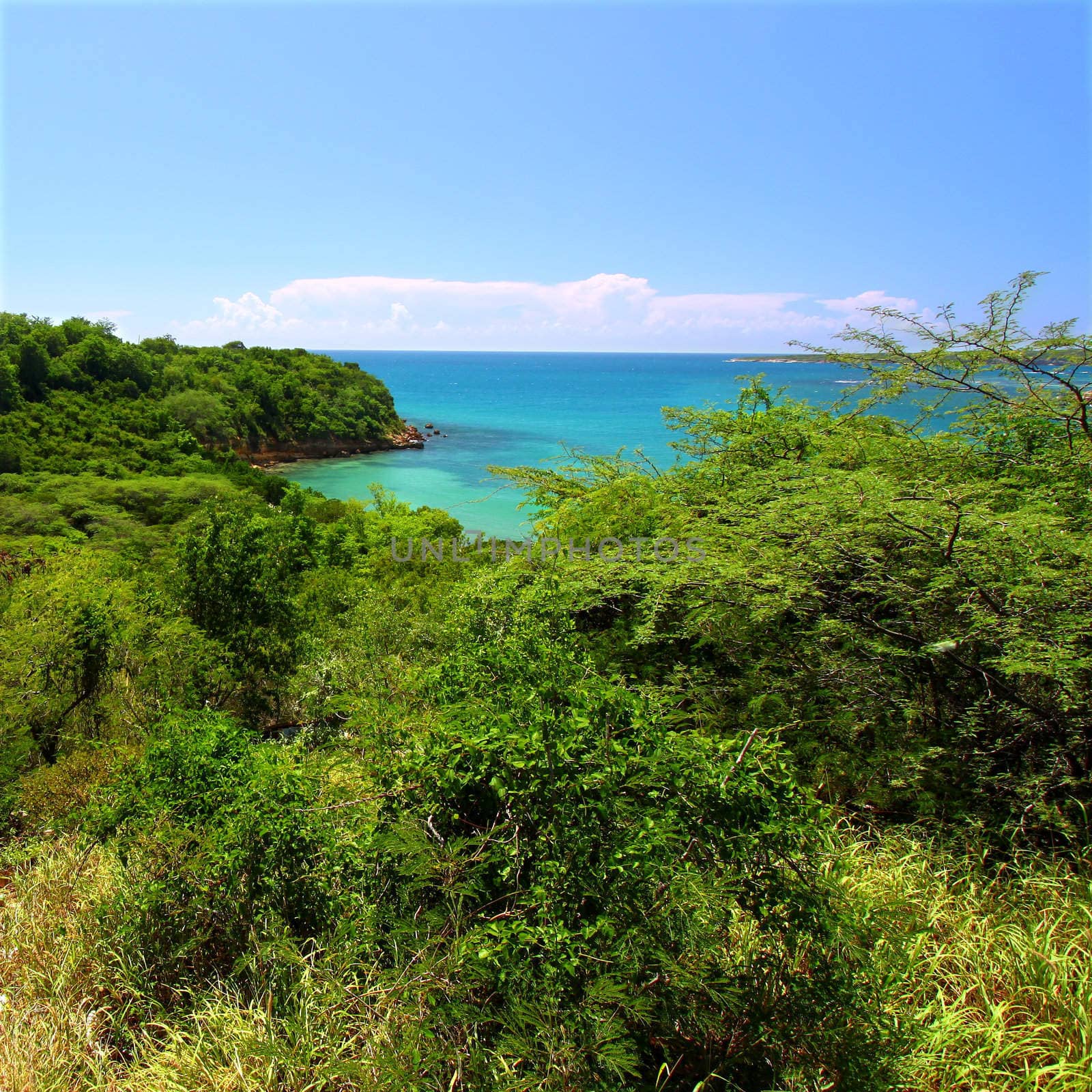 The Caribbean coastline at Guanica Dry Forest Reserve - Puerto Rico.