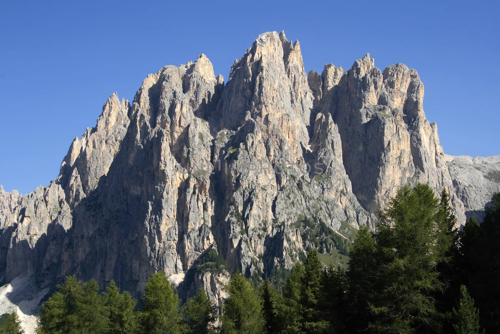Catinaccio mount in Val di Fassa, Trentino, Italian Dolomites