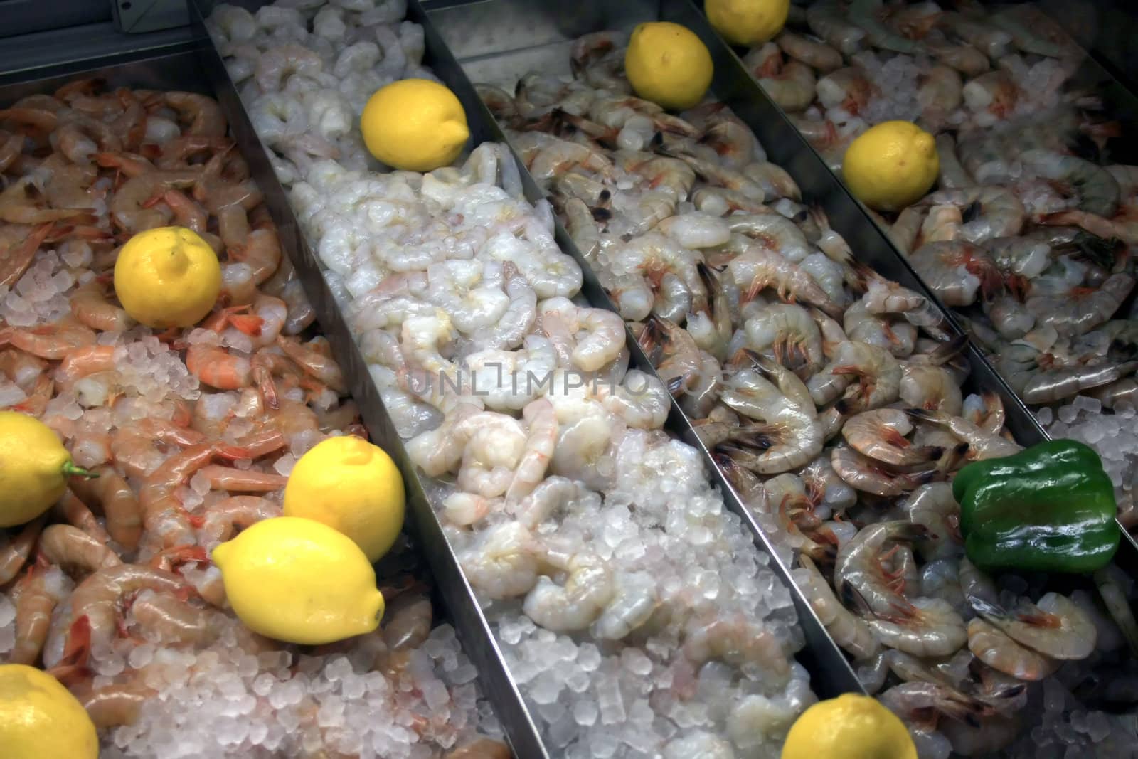 A display of shrimp at a fish market