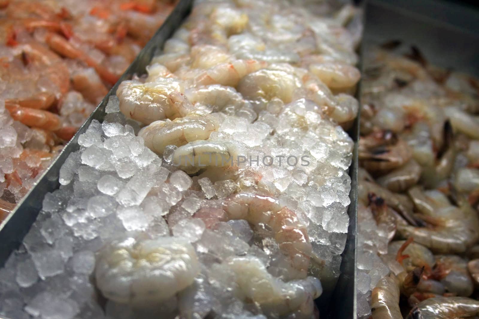 Piles of shrimp at a fish market