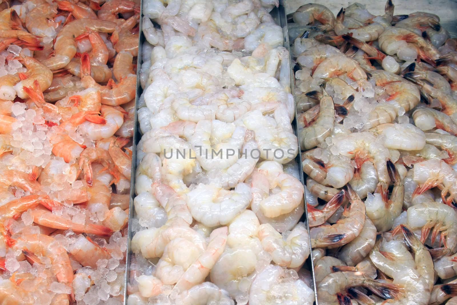 A selection of shrimp at a fish market