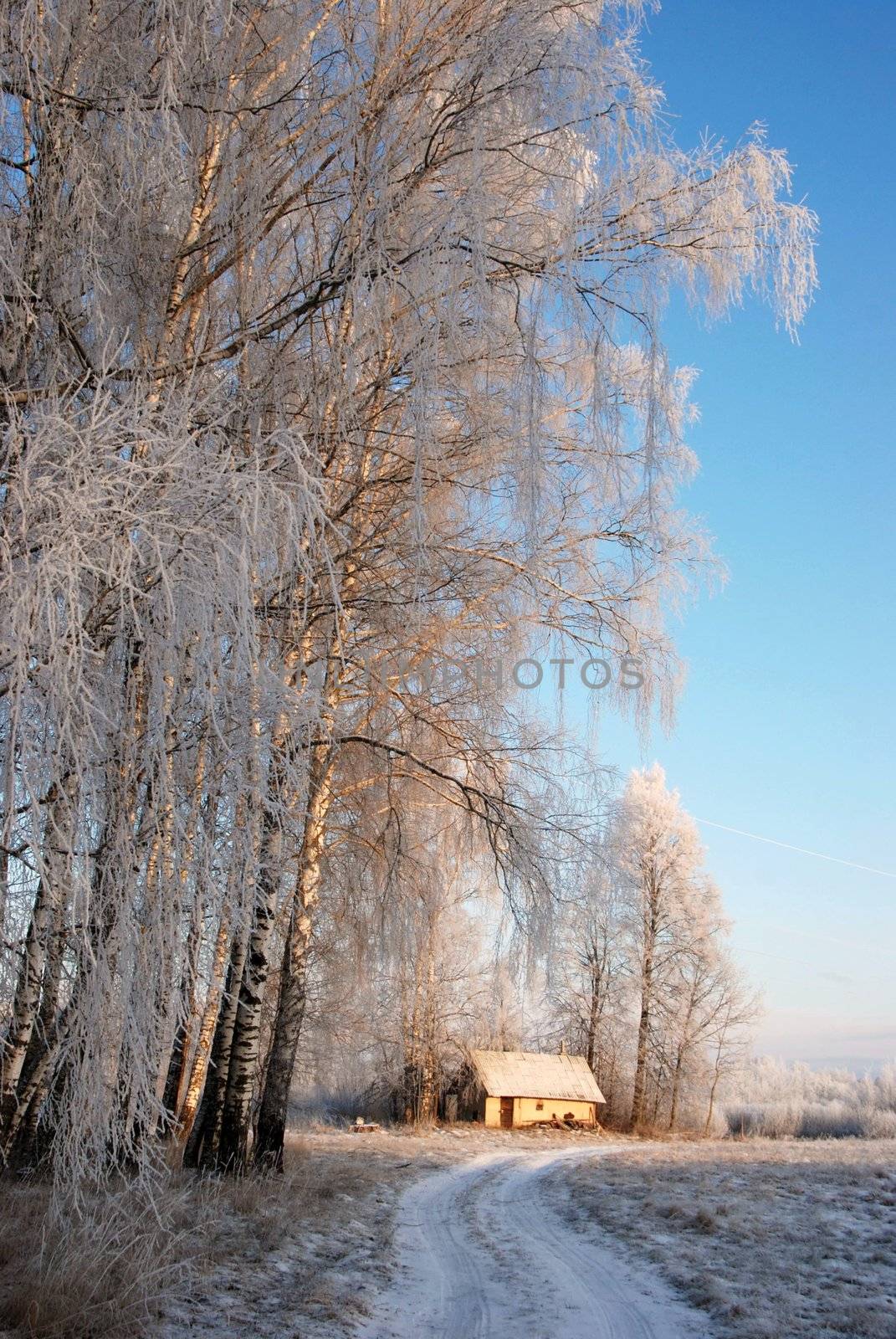 Winter road by sauletas