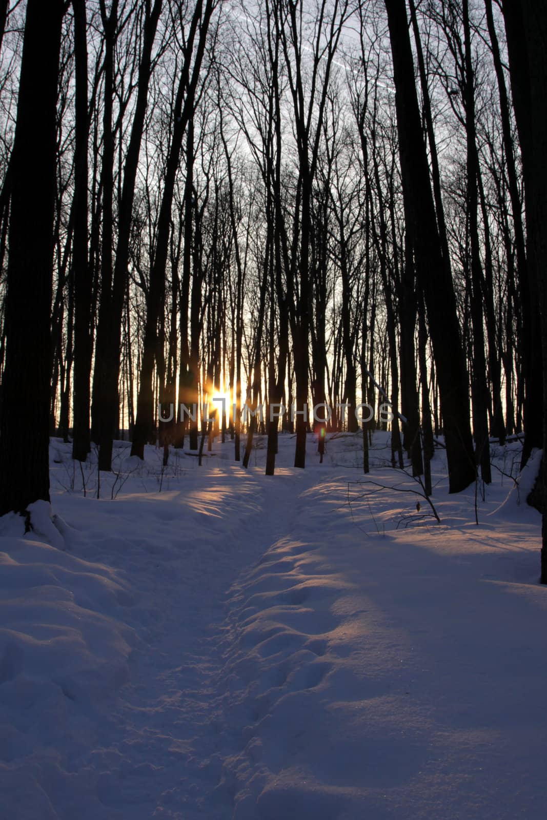 A winter trail lit by the setting sun.
