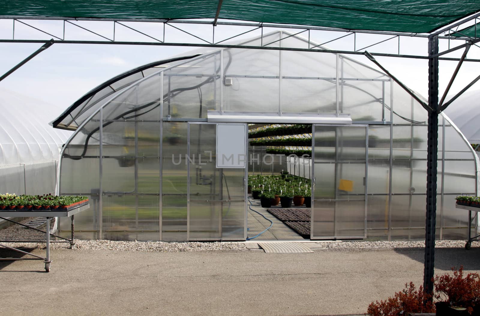A large greenhouse at garden nursery.