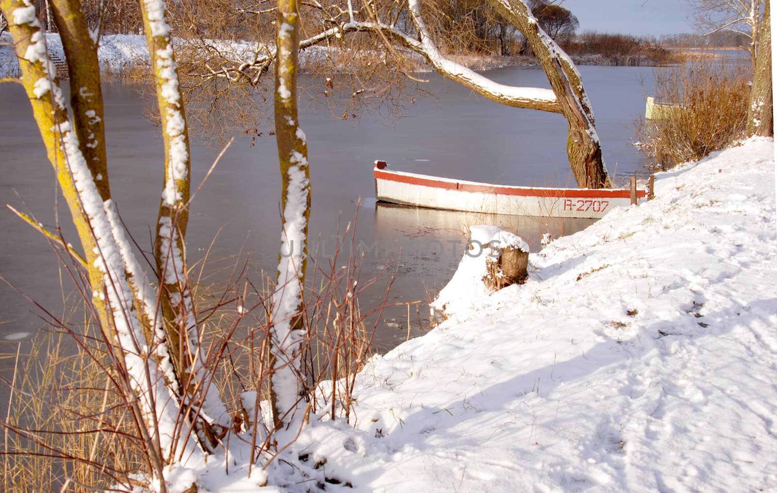 Frozen boat near old tree in early winter ice