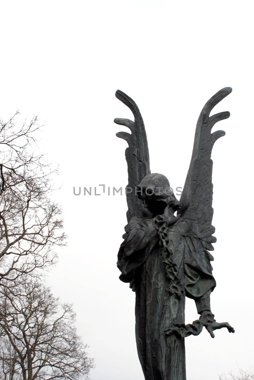 Dark angel by sauletas