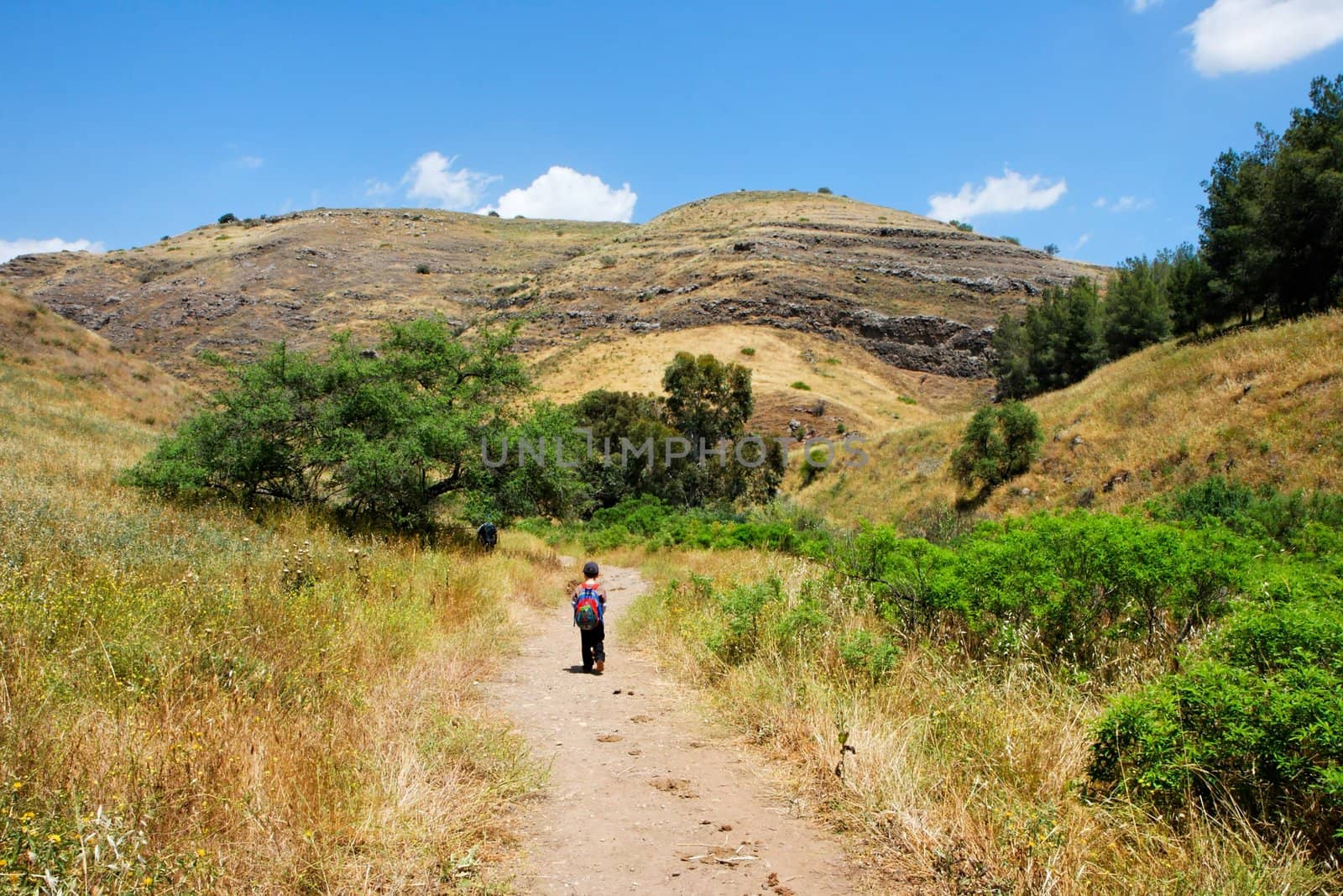 Small boy walks along a countryside road toward yellow autumn hills 