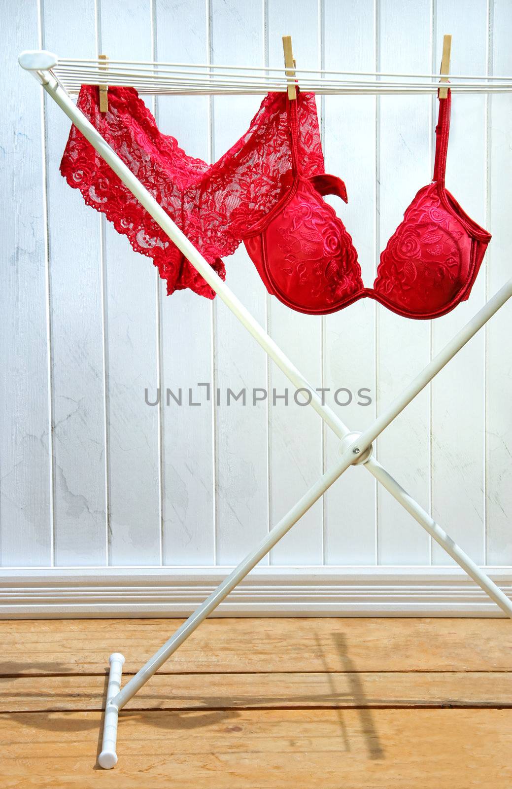 Red bra and panties drying on clothesline