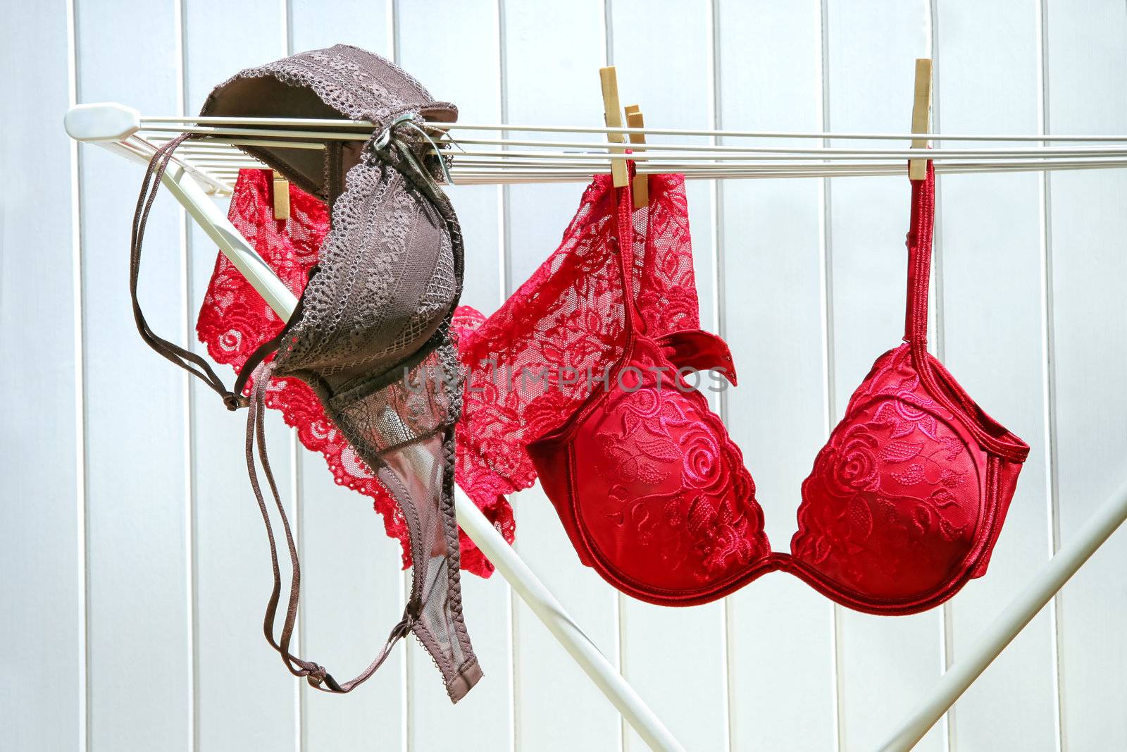 Colored bras and panties drying on clothesline