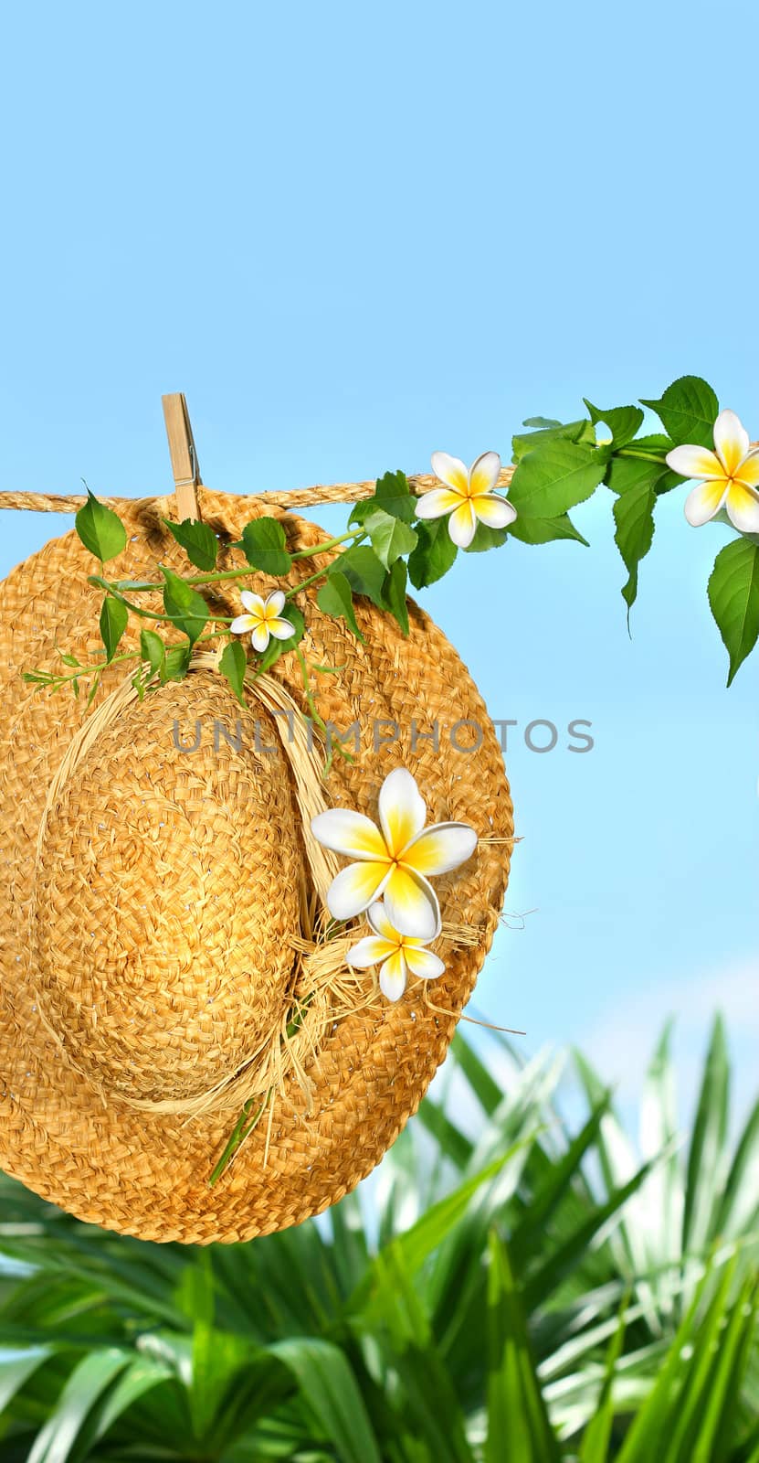 Summer straw hat with frangipani  flowers on clothesline against blue sky