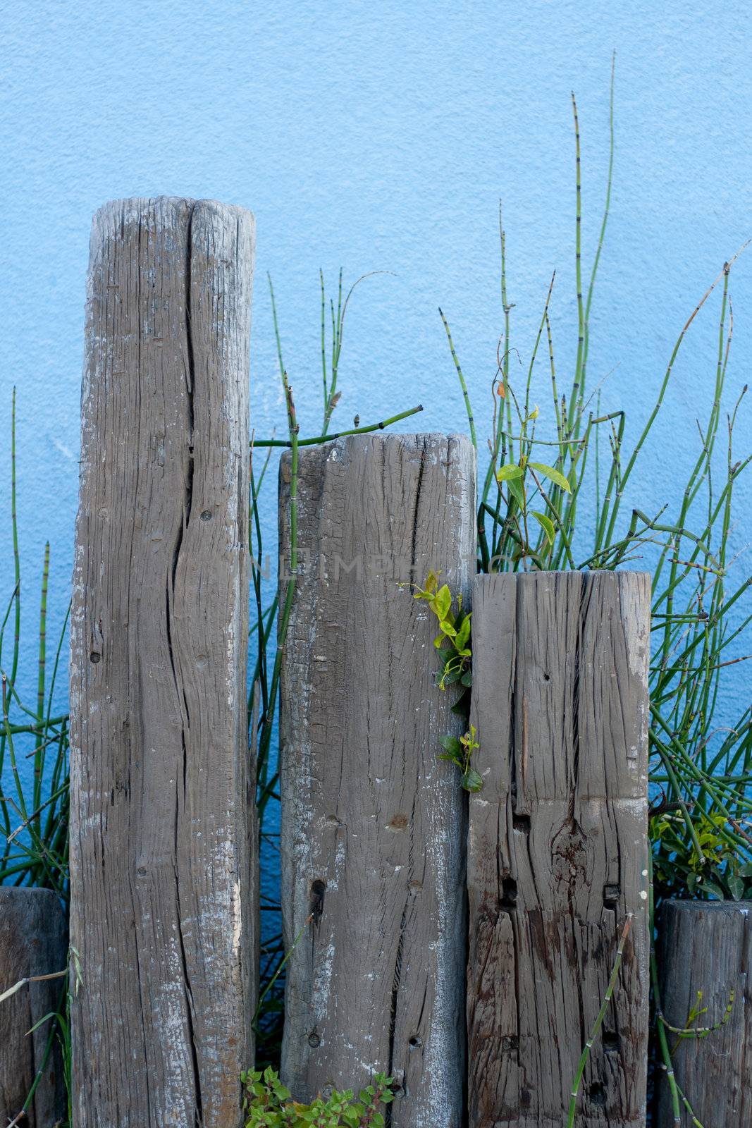 A background photograph of some railroad ties with vegitation and a blue wall.