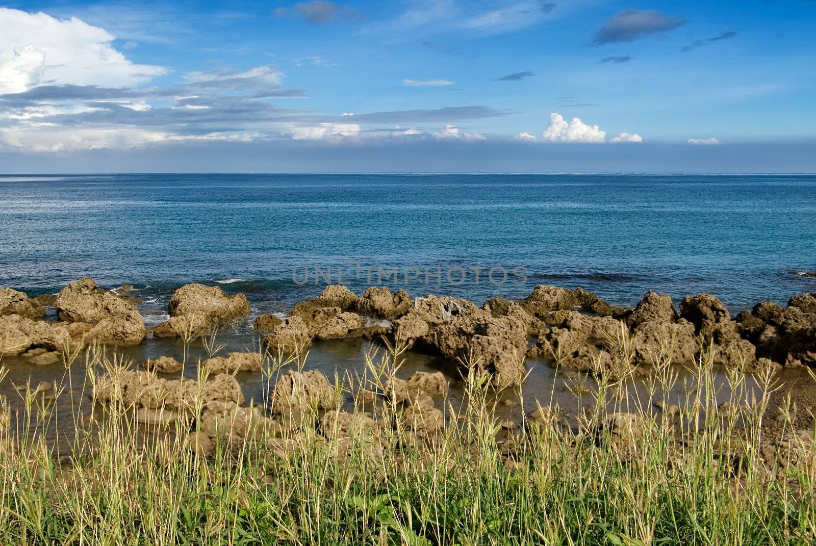 It is a beautiful coral reef rock coastline with blue sky and green grass in kenting of Taiwan.