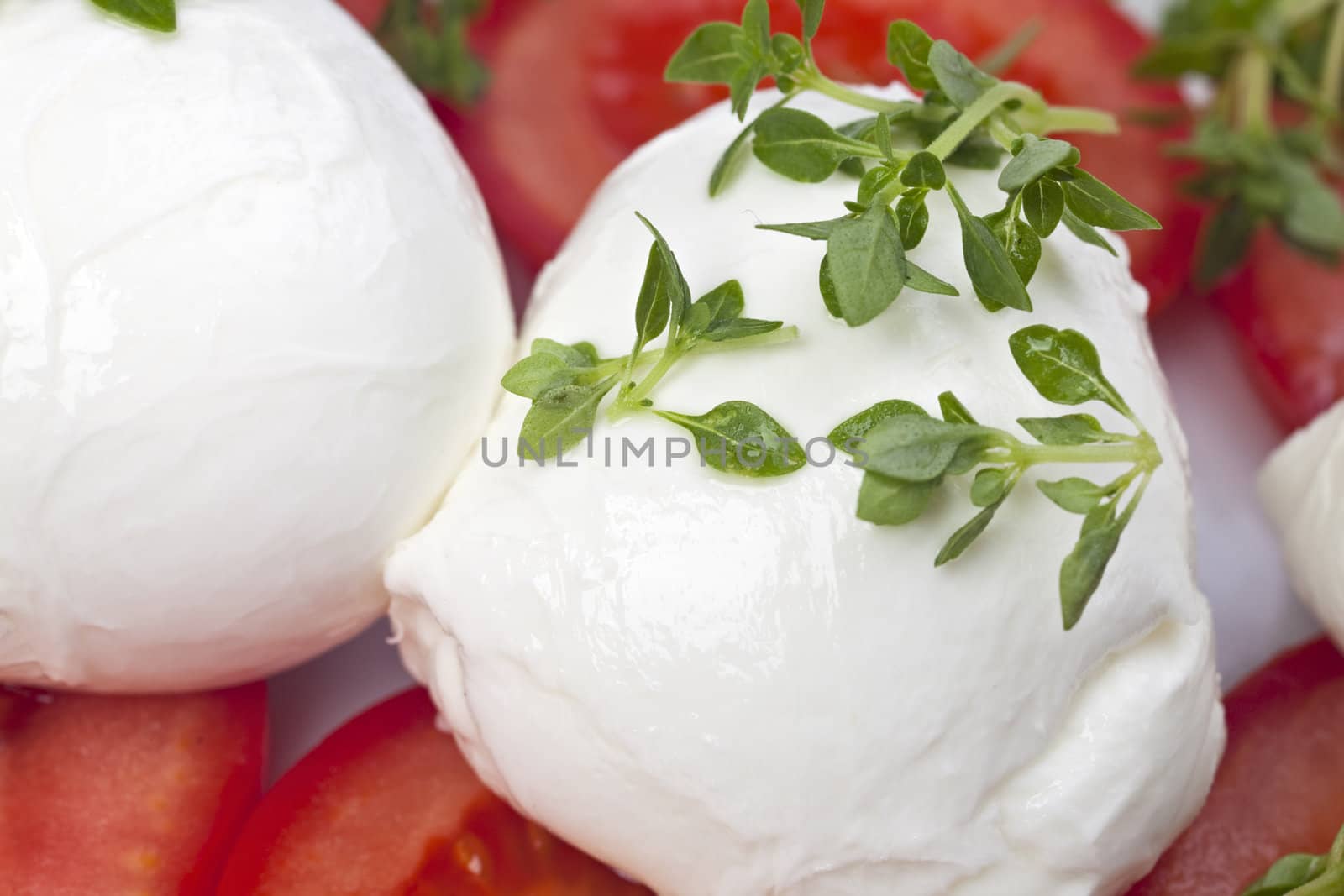 caprese: tomatoe, basil and mozarella cheese by bernjuer