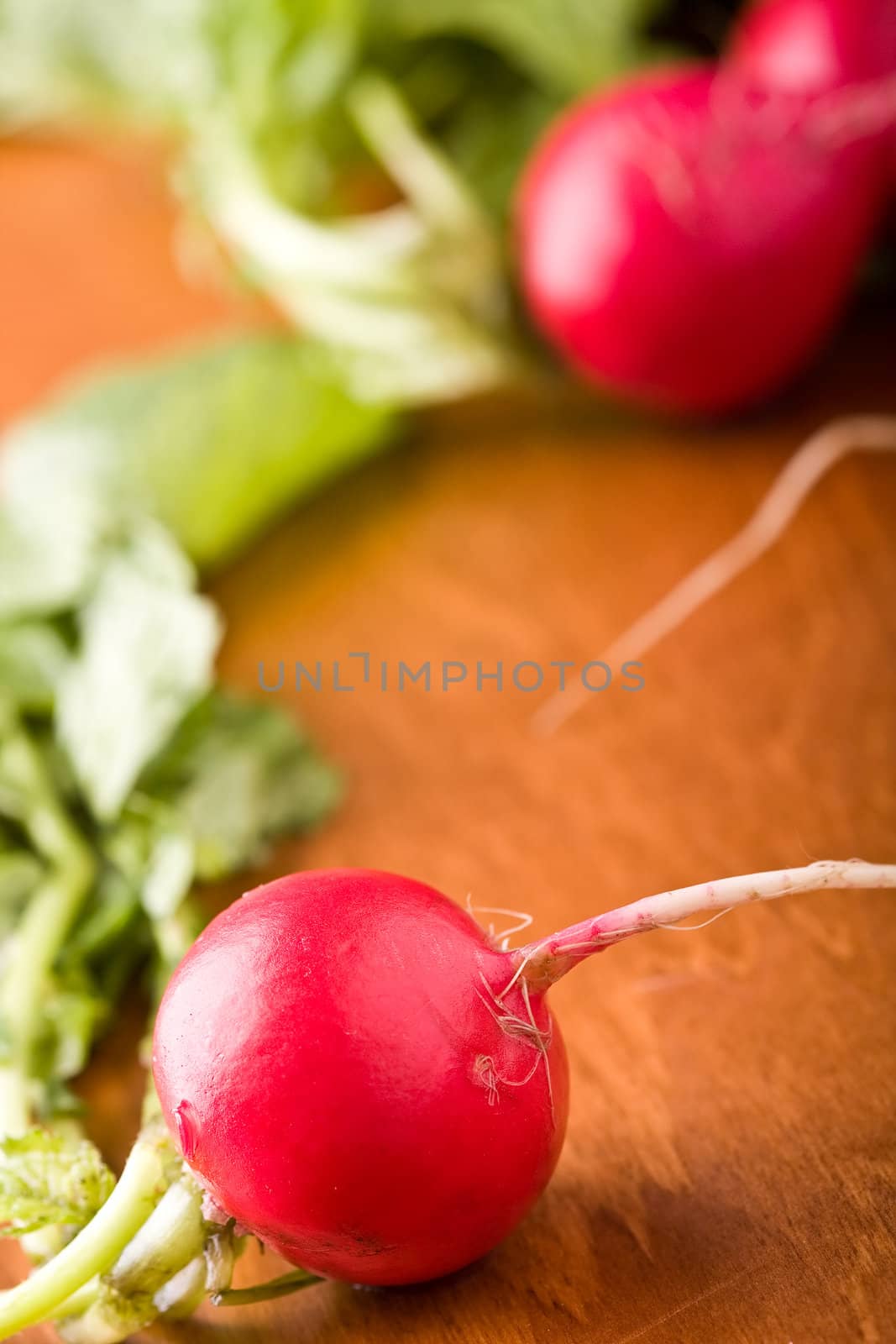 radish on a wood cutting board leaves and roots