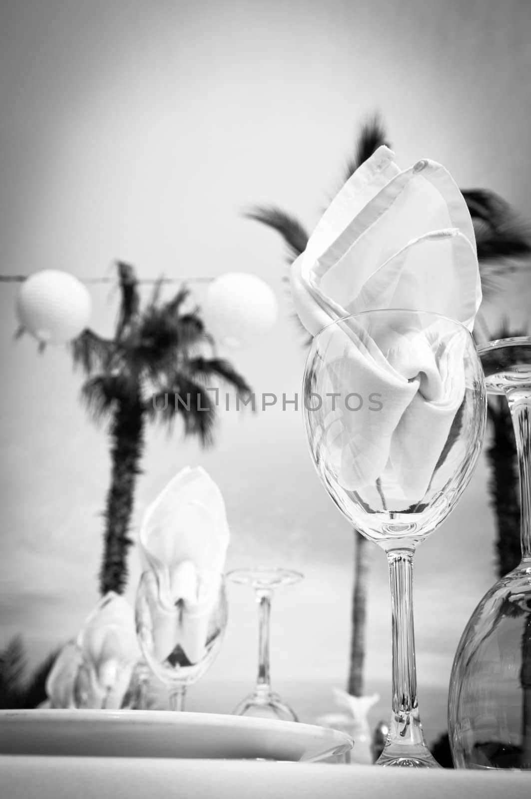 Black & white close-up of wine glasses at a wedding reception somewhere tropical with palm trees in the background.