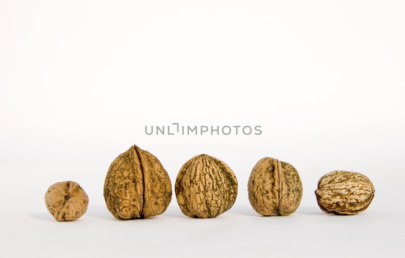 Different sizes walnuts isolated on a white background