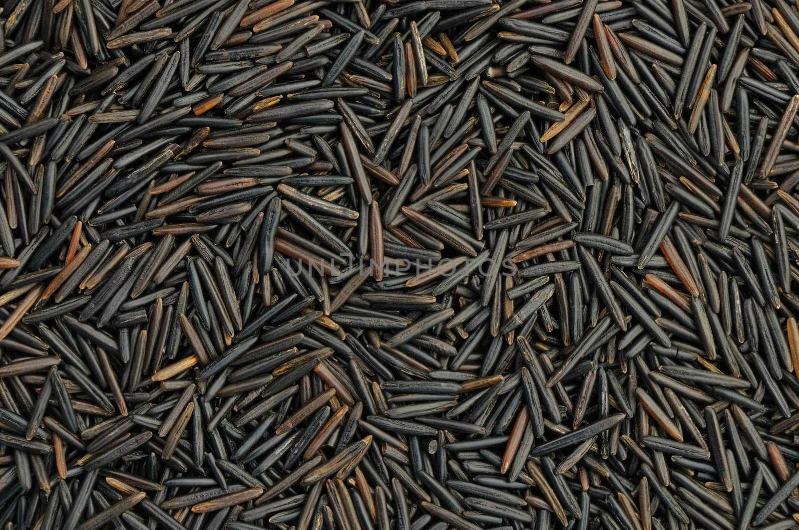 Top view of raw wild rice in natural light