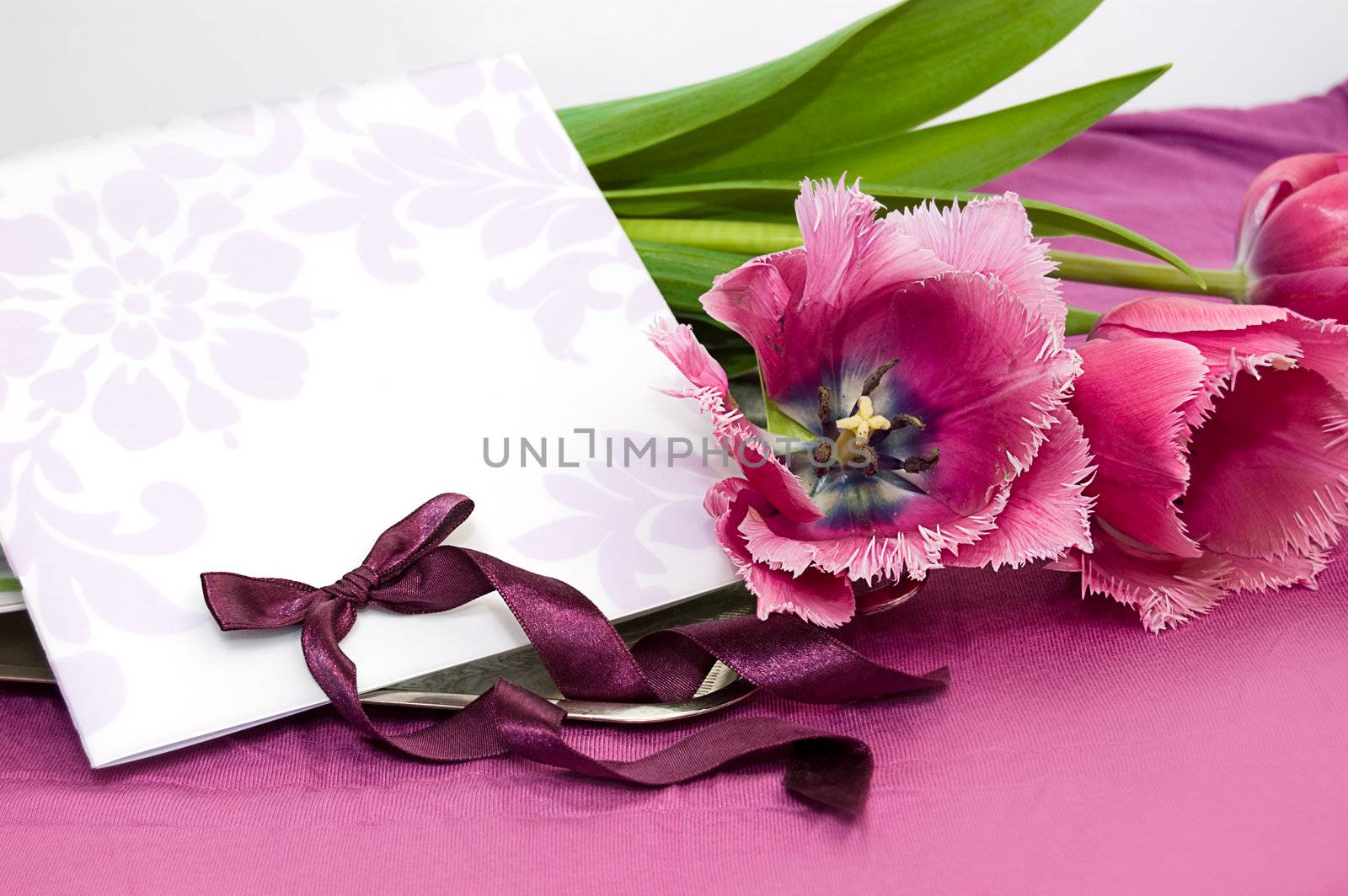 Greeting card with violet tulips by Angel_a
