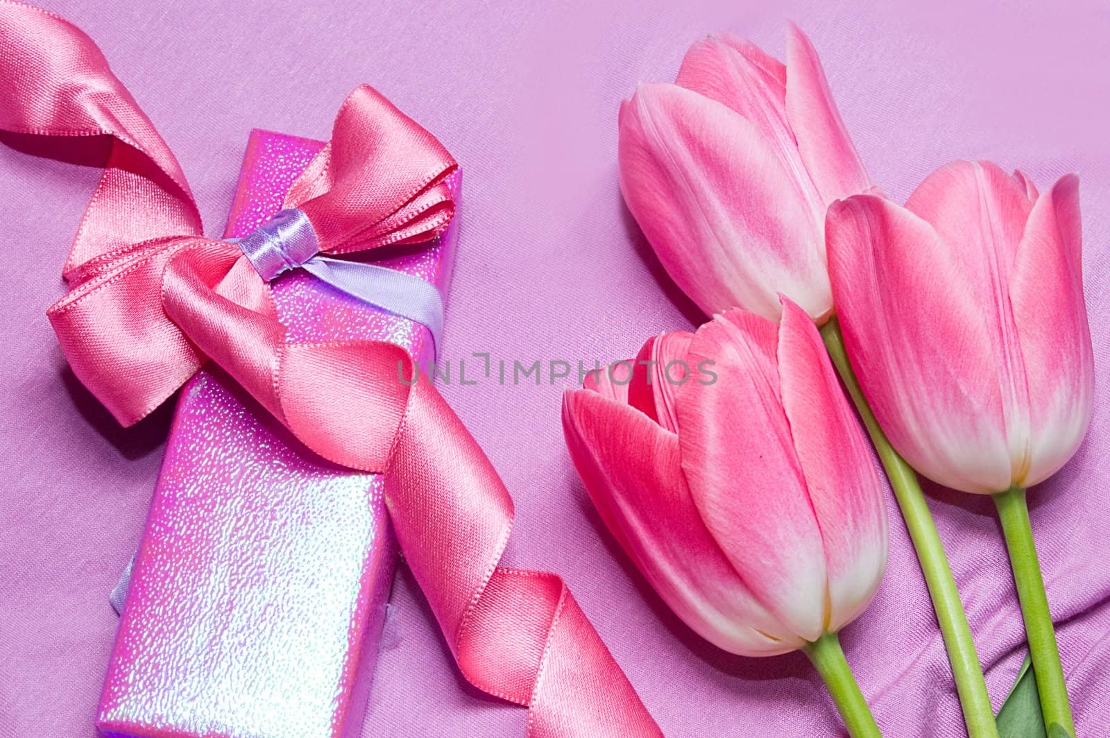 Tulips and gift box with ribbon by Angel_a