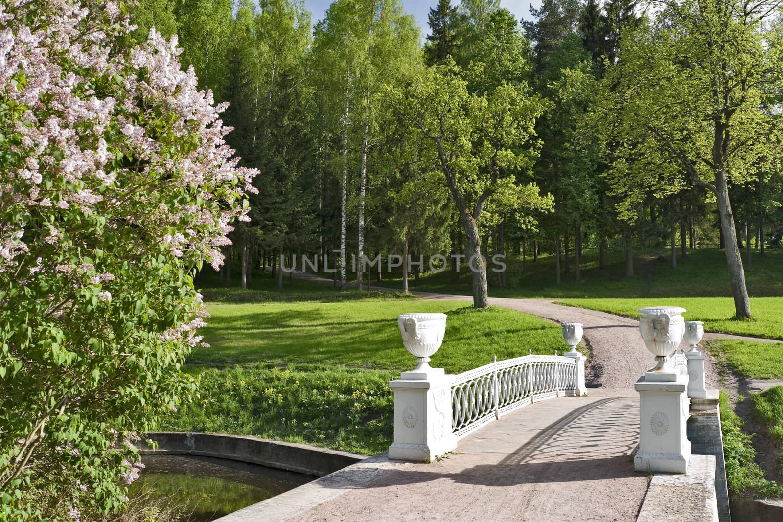 Bridge with vases and blossoming lilac in the park