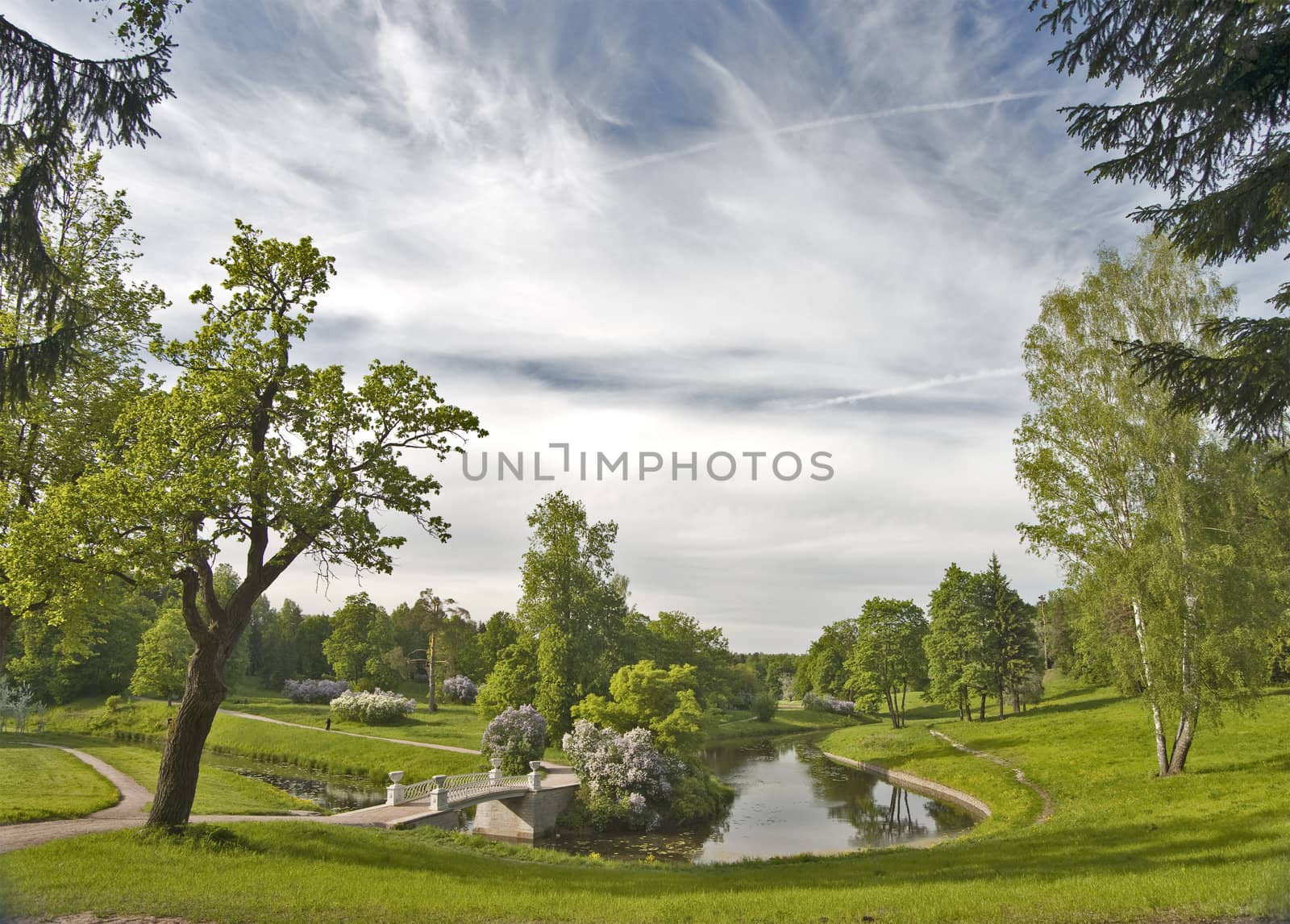Picturesque view of summer park by mulden