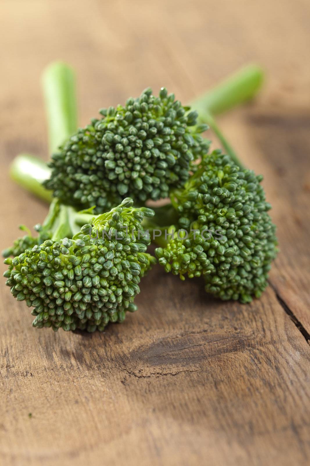 Fresh small type of broccoli called bimi